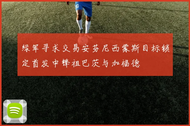 绿军寻求交易安芬尼西蒙斯目标锁定首发中锋祖巴茨与加福德