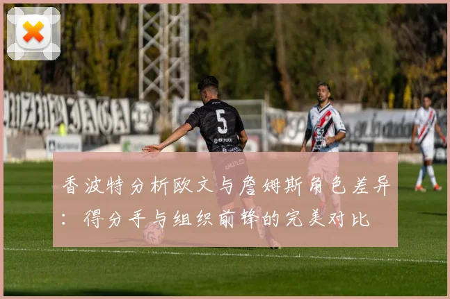 香波特分析欧文与詹姆斯角色差异：得分手与组织前锋的完美对比