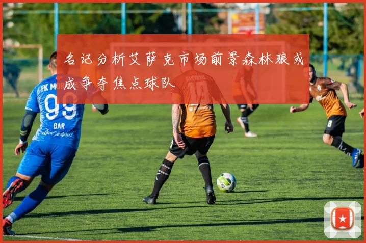 名记分析艾萨克市场前景森林狼或成争夺焦点球队