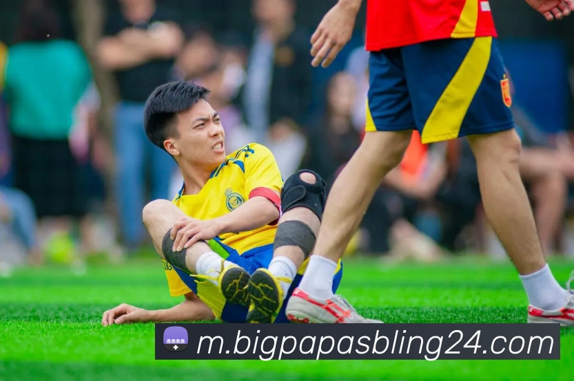 千亿体育服务体系